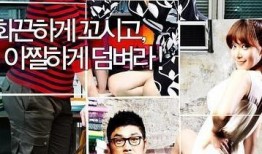 在线观看完美搭档,揭秘完美搭档的精彩瞬间